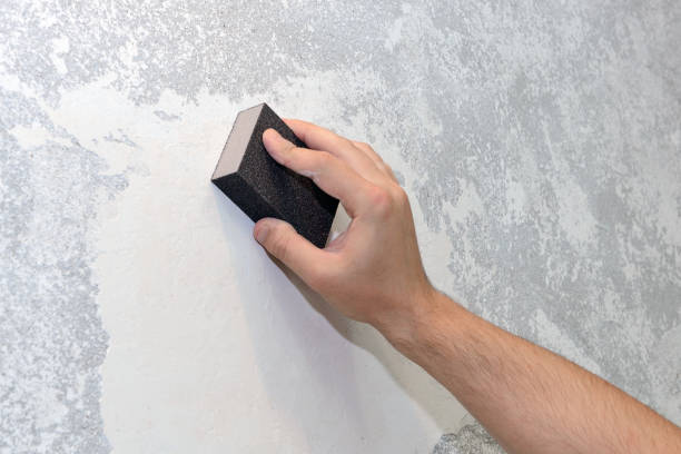 Best Mold Remediation for Healthcare Facilities  in Rio Communities, NM