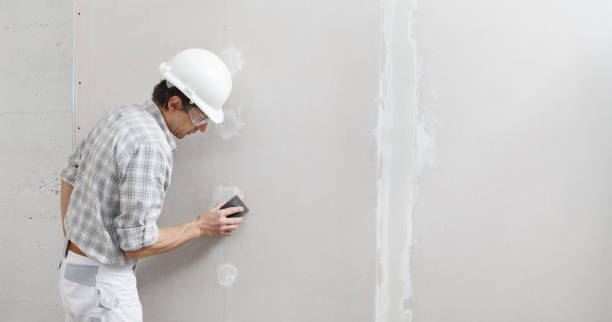 Best Attic Mold Removal  in Rio Communities, NM