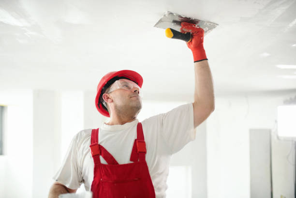 Best Basement Mold Removal  in Rio Communities, NM