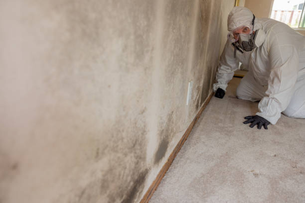 Mold Documentation for Insurance Claims in Rio Communities, NM