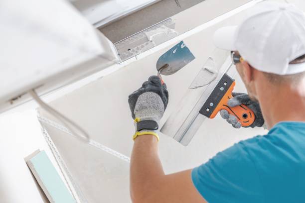 Best Crawl Space Mold Remediation  in Rio Communities, NM